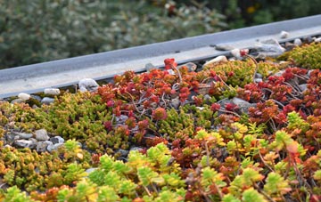 the cost of Bodffordd green roof installation